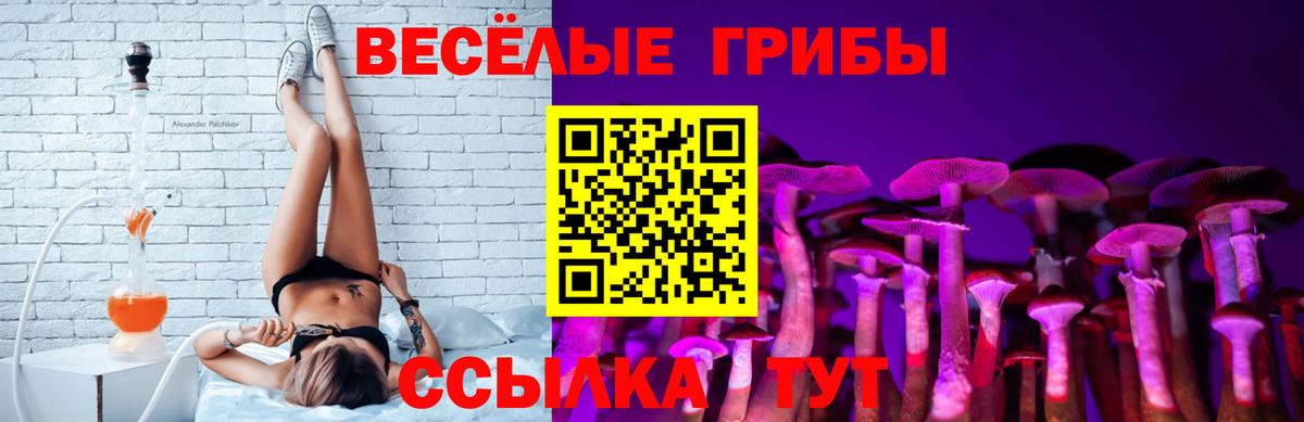 Галлюциногенные грибы Magic Shrooms Мценск